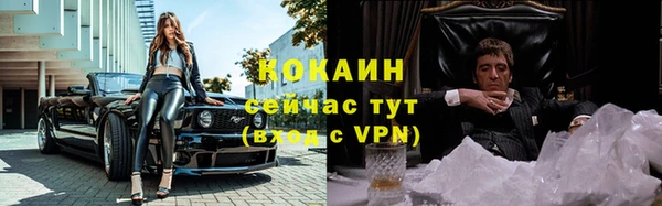 spice Алзамай