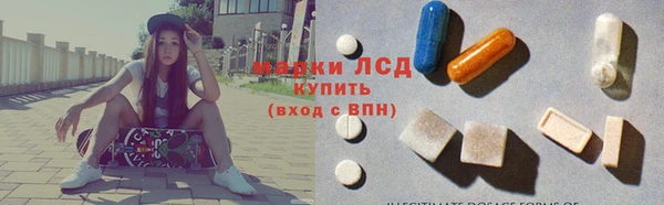 стафф Нефтекумск