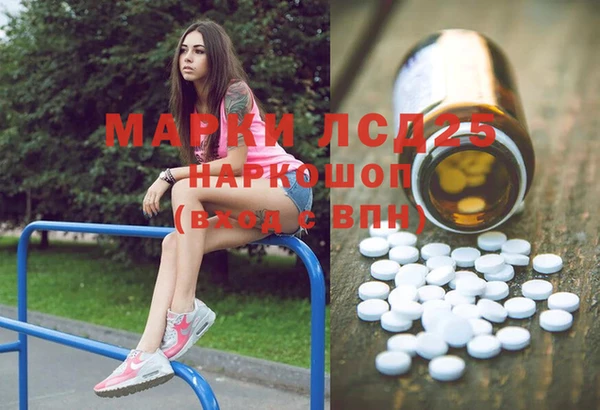 spice Алзамай