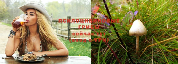 spice Алзамай