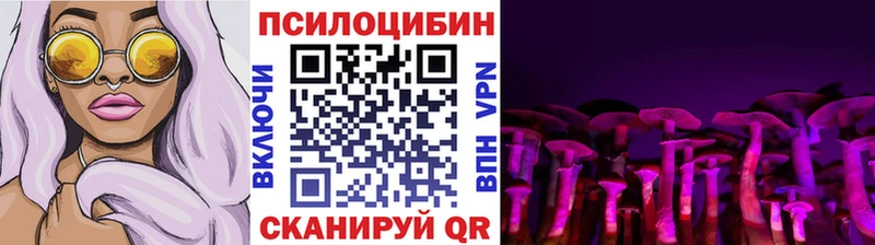 Псилоцибиновые грибы Psilocybine cubensis  что такое   Рыбное 