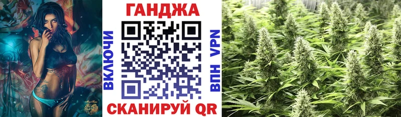 Канабис сатива  Рыбное 